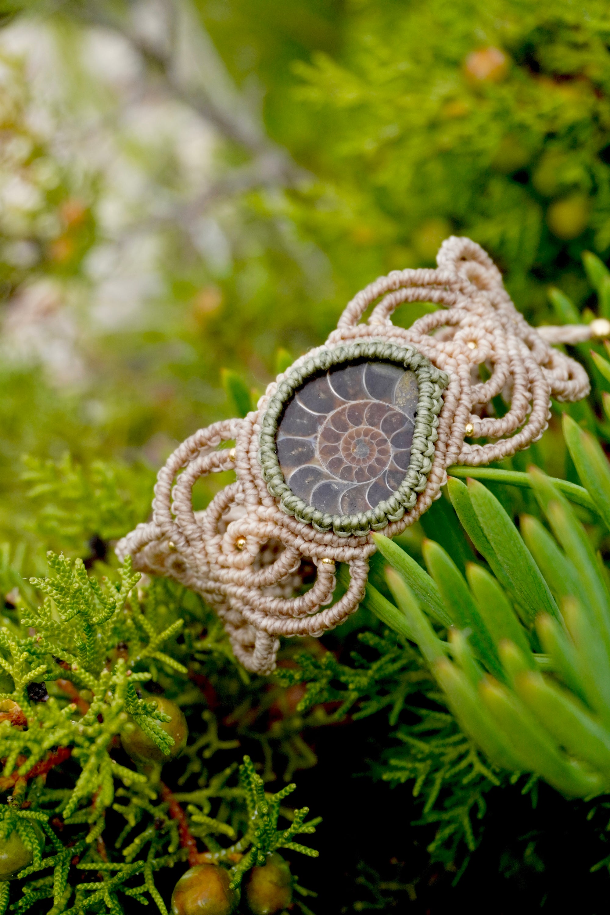 Brazalete de Amonnite