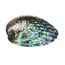 Aballone