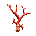 Coral Rojo