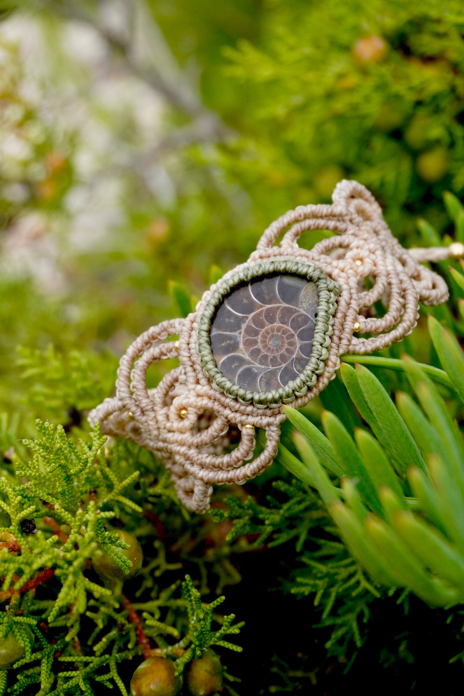 Brazalete de Amonnite