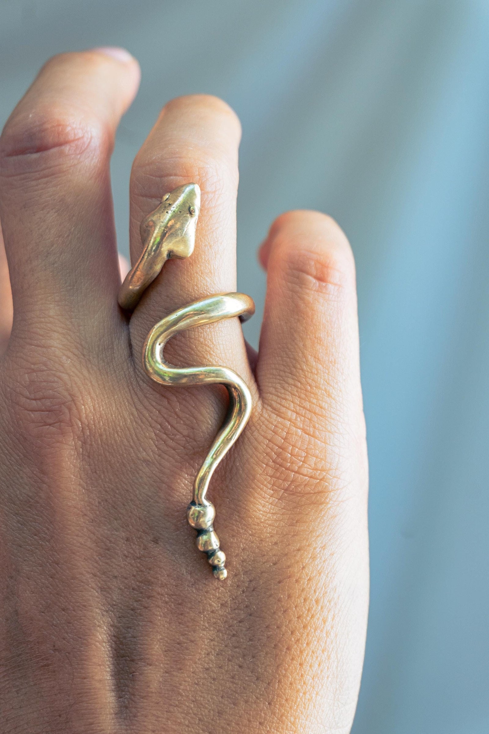 Anillo Cobra (serpiente)  en Bronce